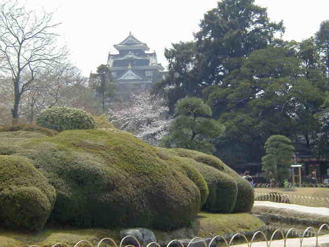 桜と岡山城