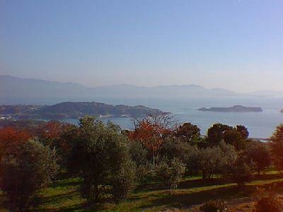 �I���[�u������̐��˓��C